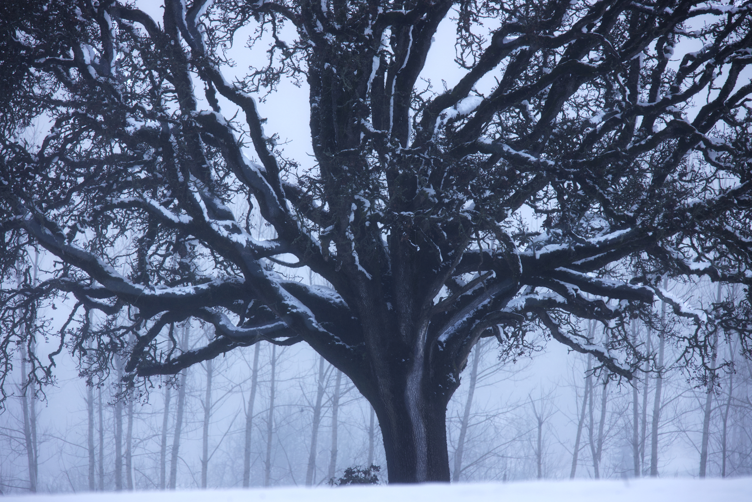 Polk County, Oregon