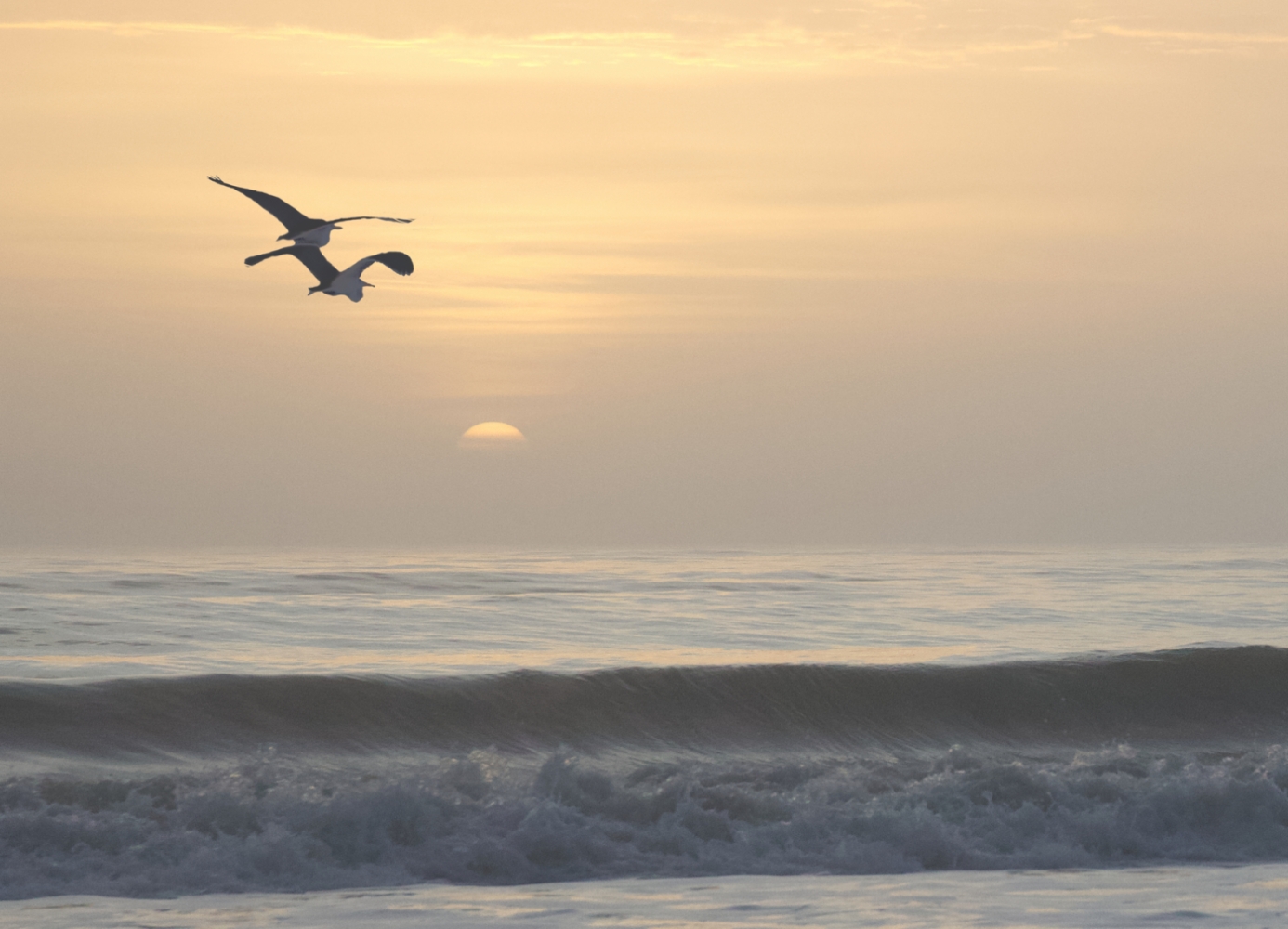 Amelia Island, Florida