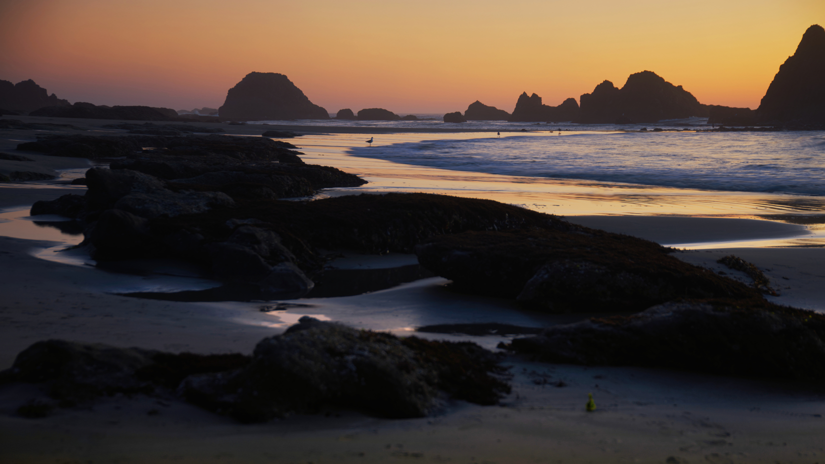 Seal Rock State Park, Oregon