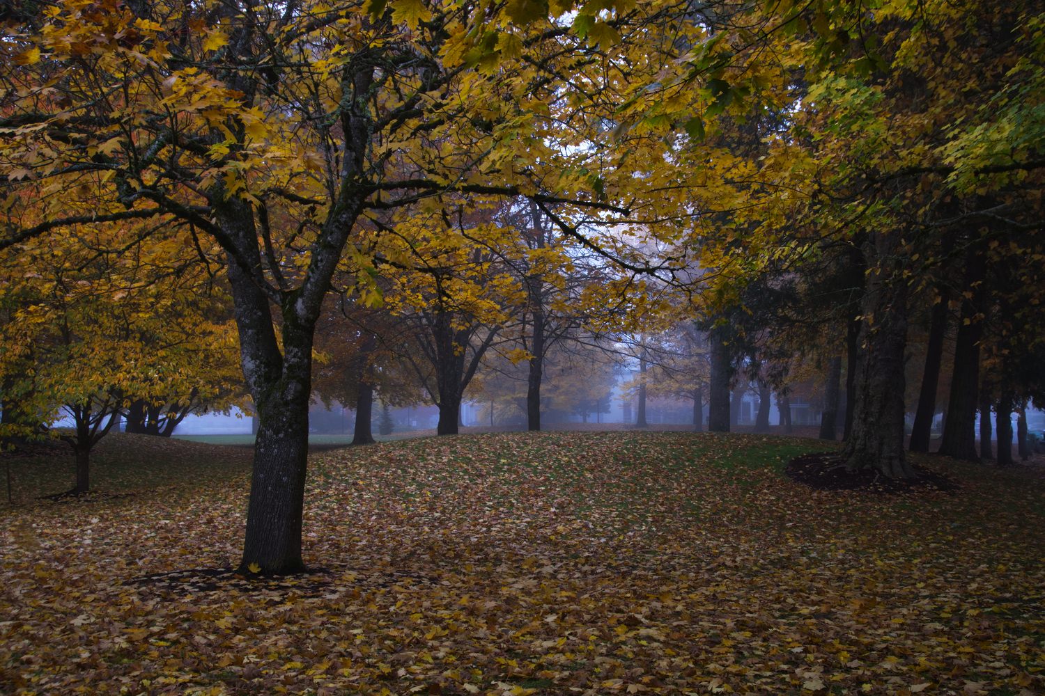 The Grove, Western Oregon University