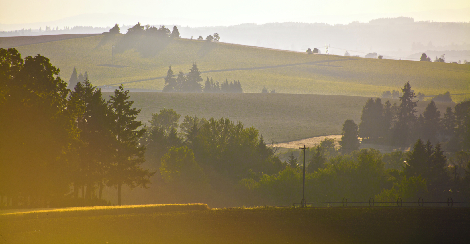 Willamette Valley, Oregon