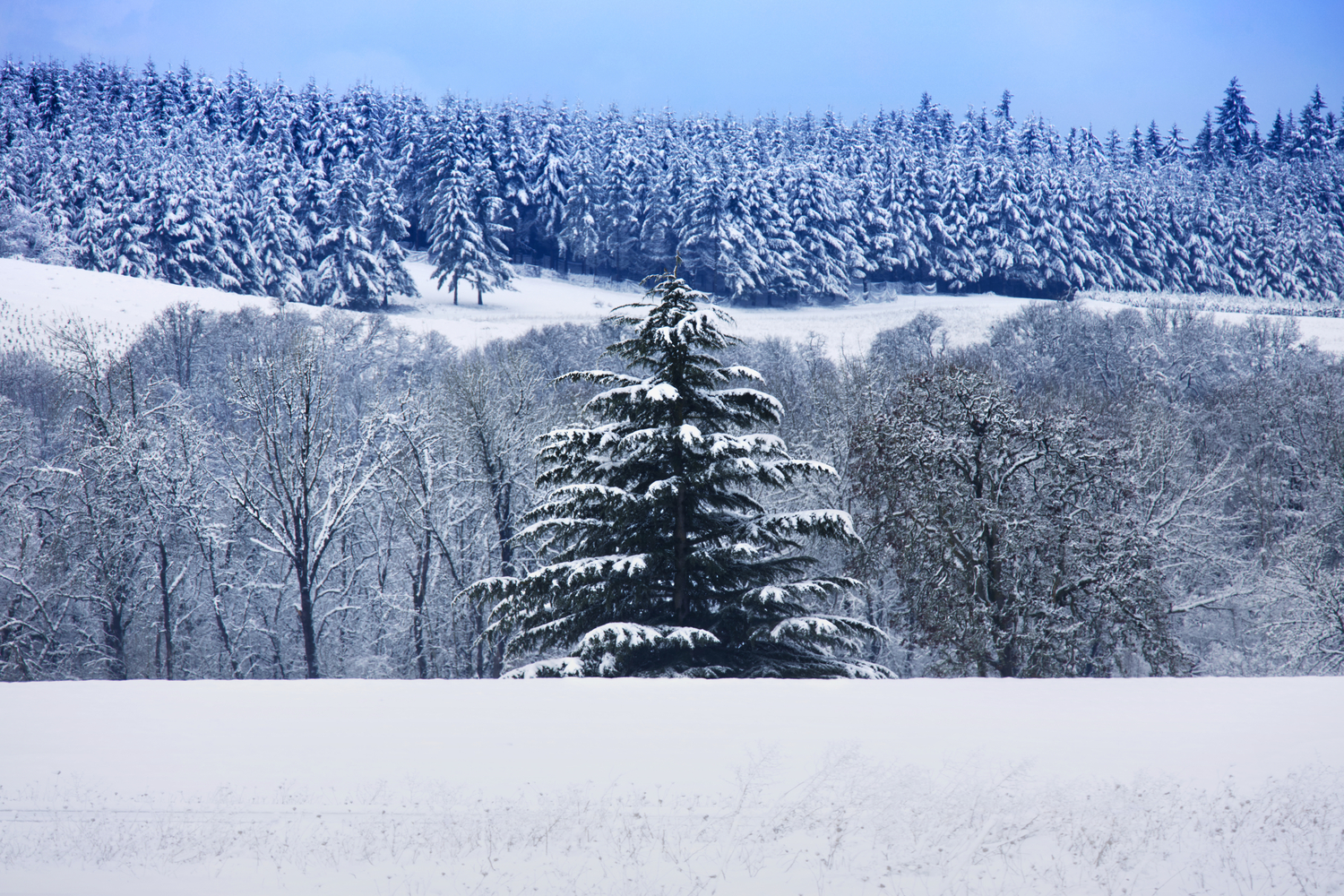 Polk County, Oregon