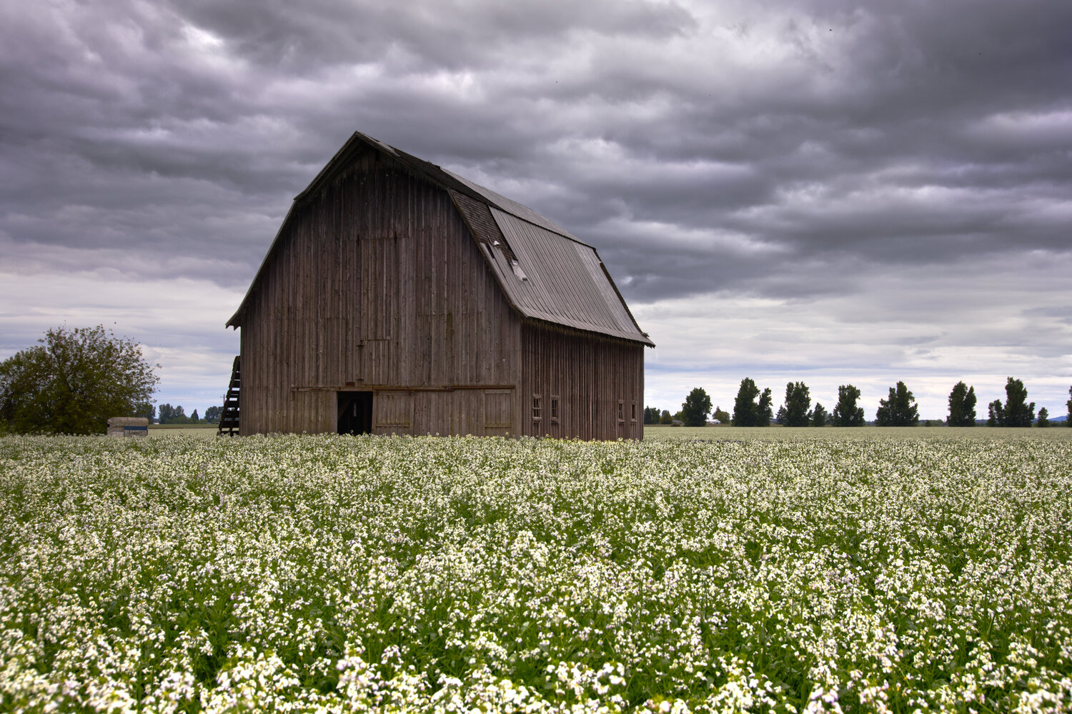 Polk County, Oregon