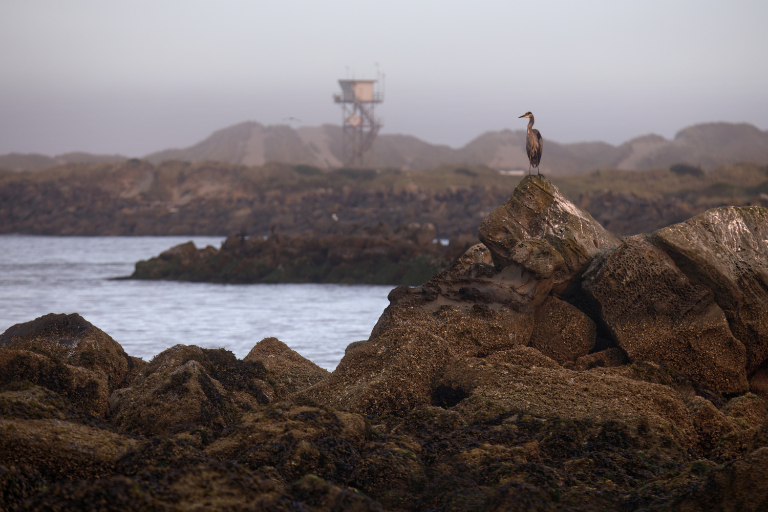 Siuslaw Jetty, Oregon