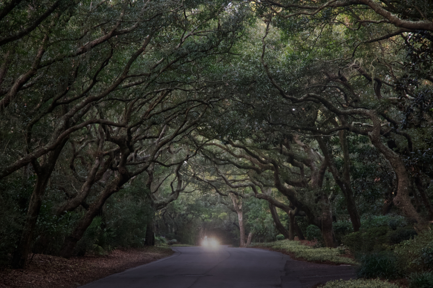 Omni Plantation - Amelia Island, Florida