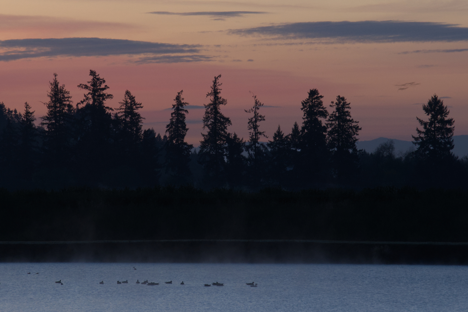 Polk County, Oregon