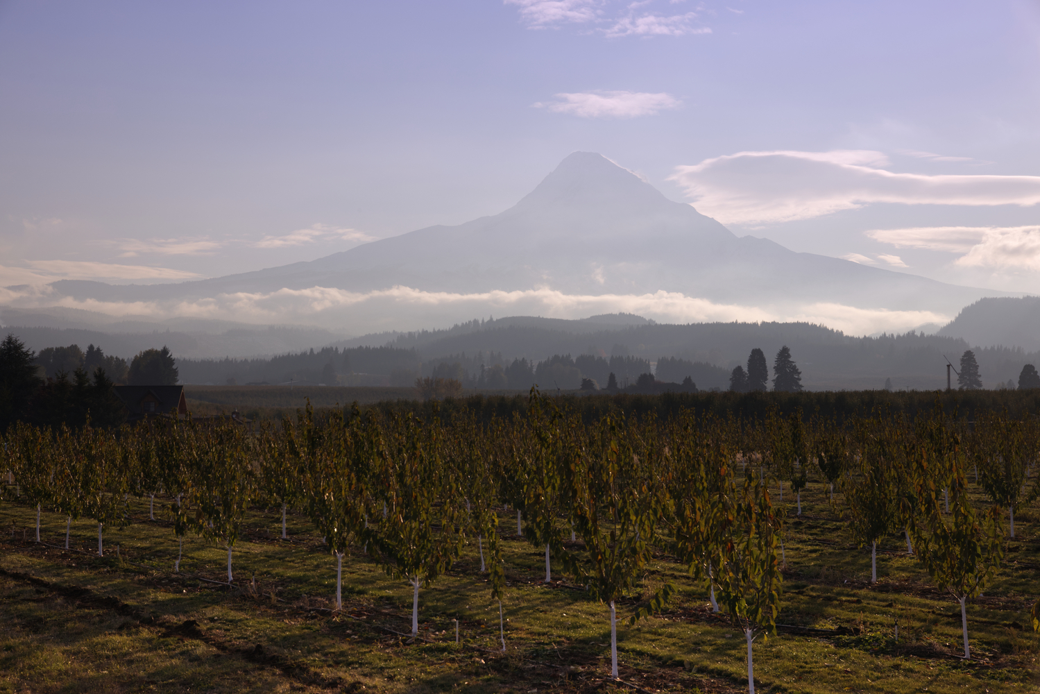 Hood River Valley, Oregon