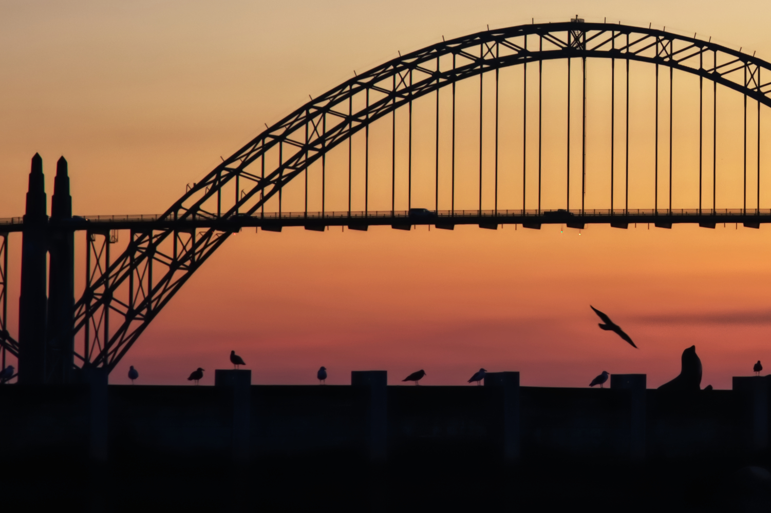 Yaquina Bridge, Newport, Oregon