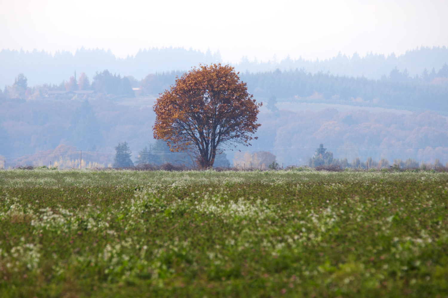 Polk County, Oregon