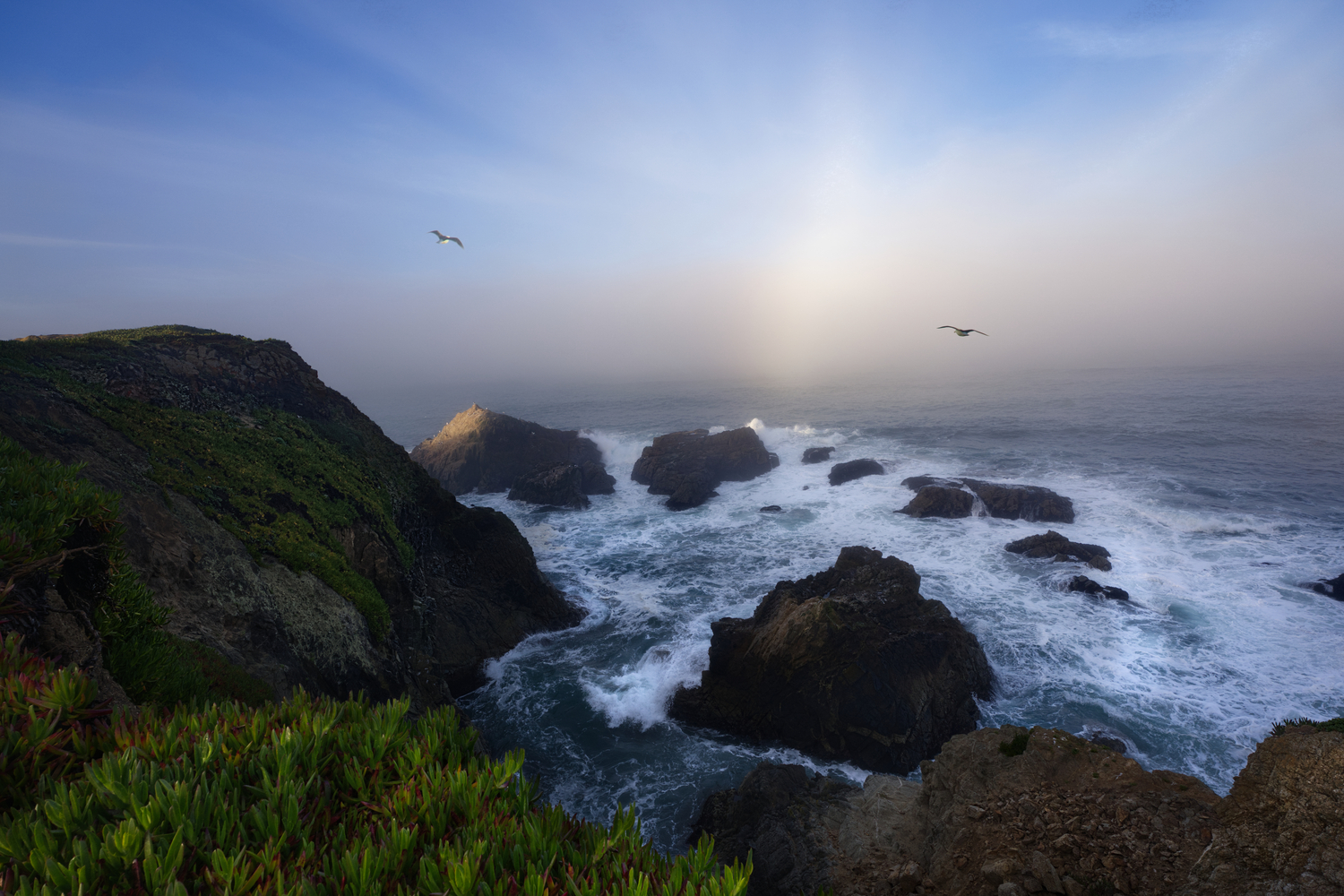 Bodega Head, California
