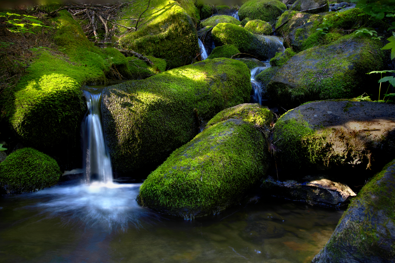 Mt. Hood National Forest, Oregon