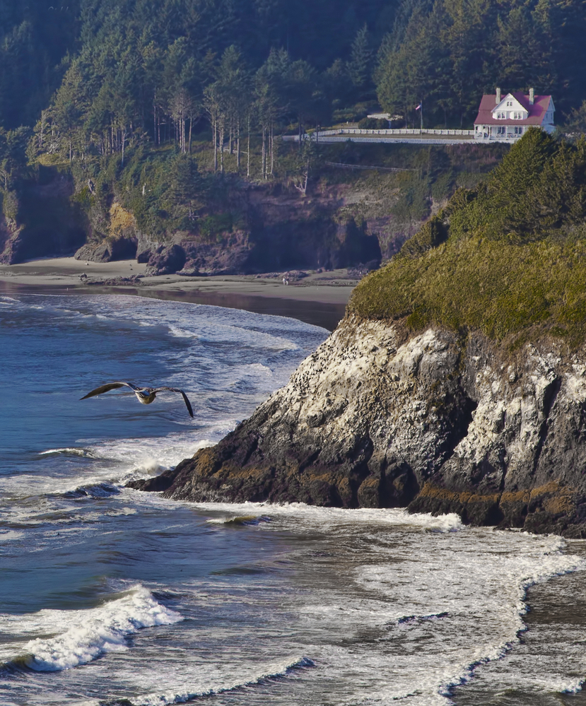 Heceta Head - Florence, Oregon