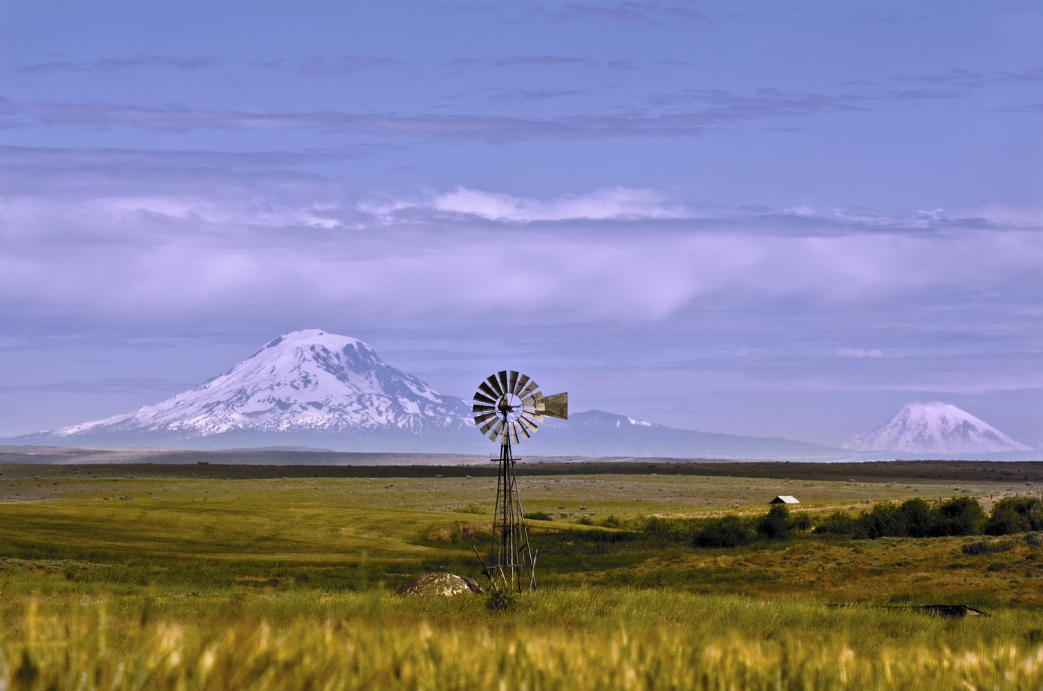 Mt Adams & Mt Rainier, Washington