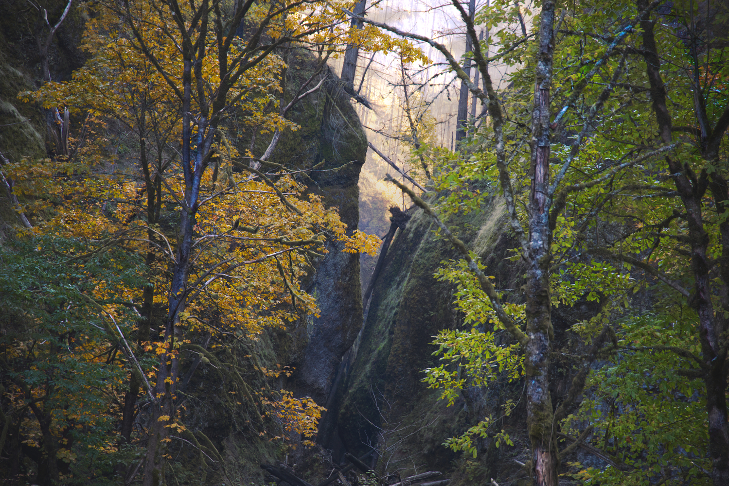 Columbia Gorge, Oregon