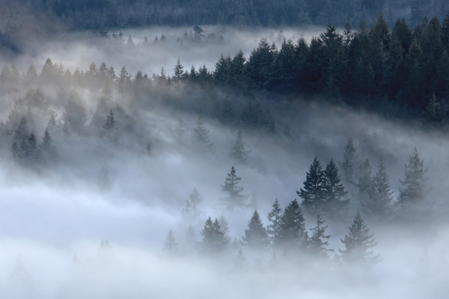 Marion County, Oregon