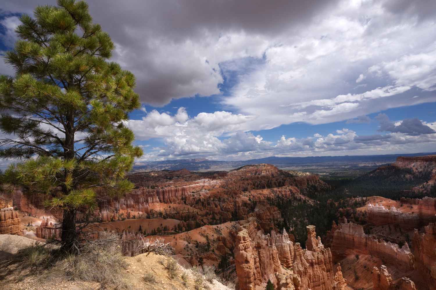 The Hoodoos - Bryce Canyon NP