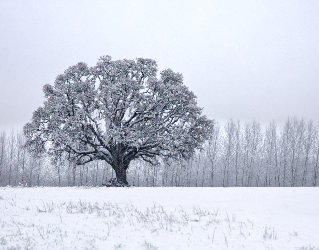 Polk County, Oregon