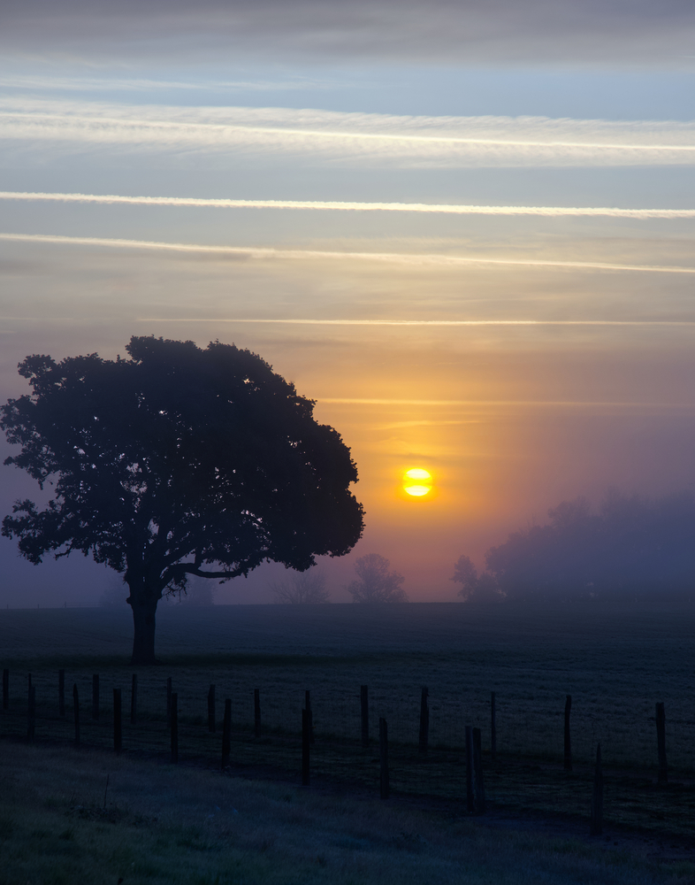 Benton County, Oregon