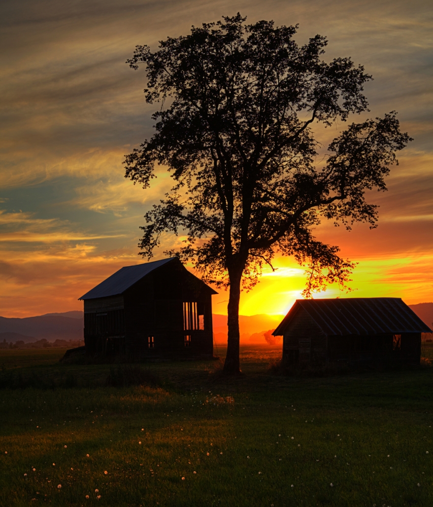 Junction City, Oregon