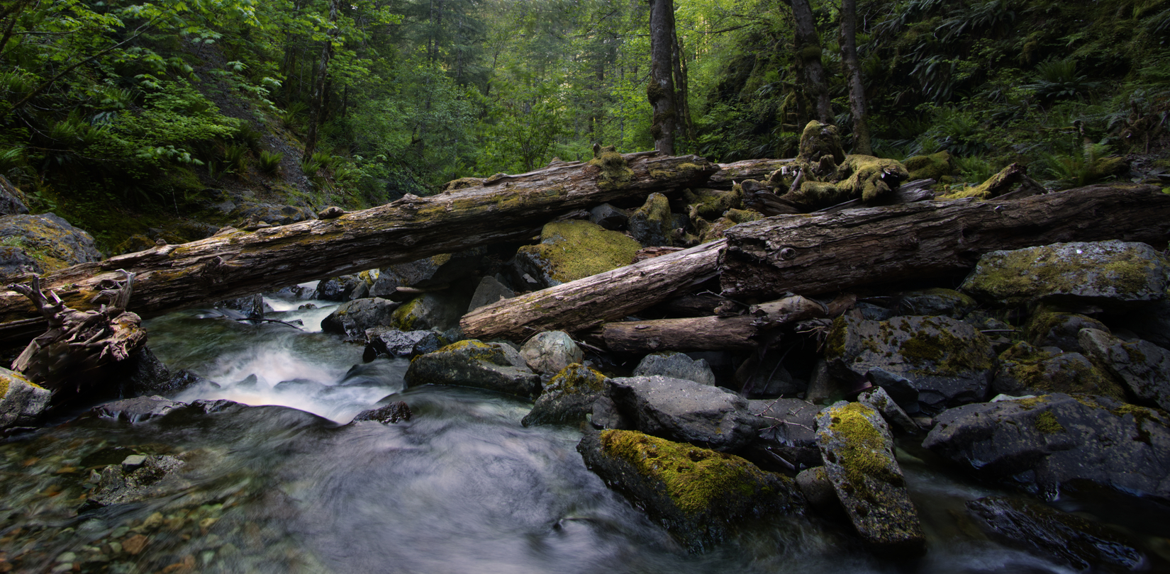 Henline Creek, Cascade Mountains, Oregon