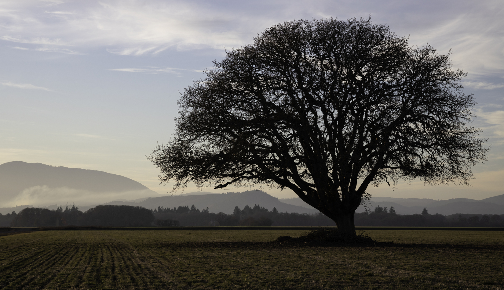 Corvallis, Oregon