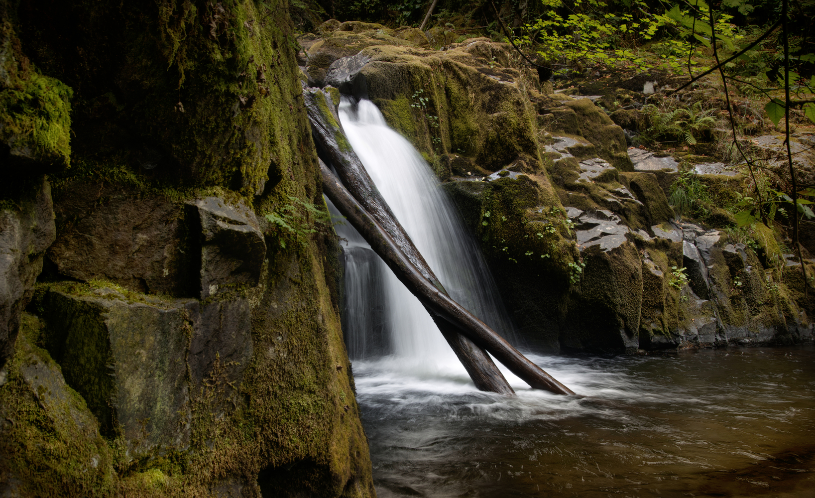 Sweet Creek Falls, Oregon