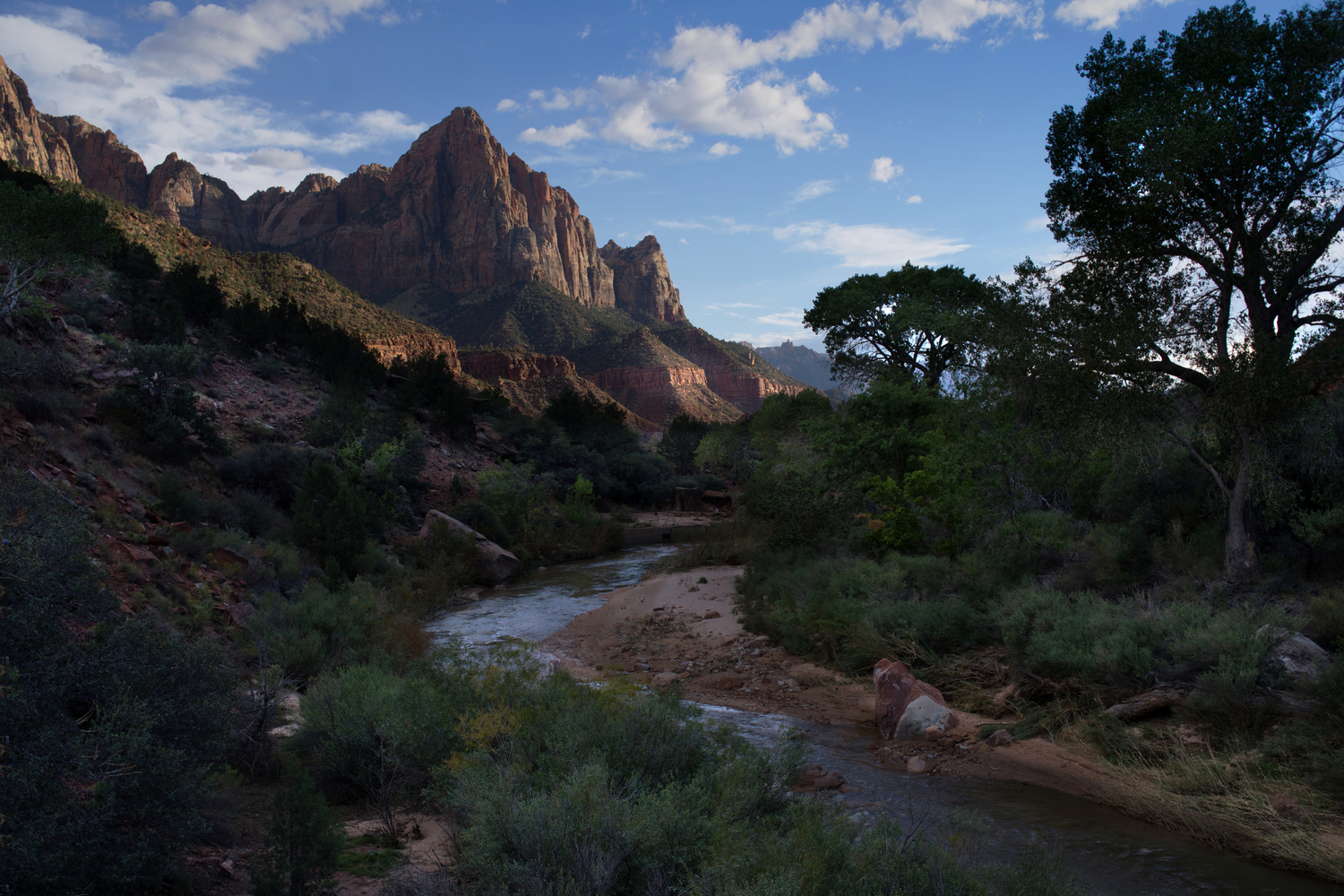 The Virgin River - Zion NP