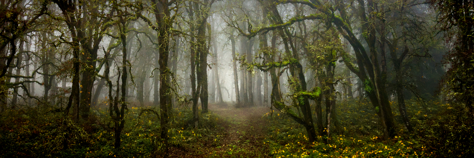 Polk County, Oregon