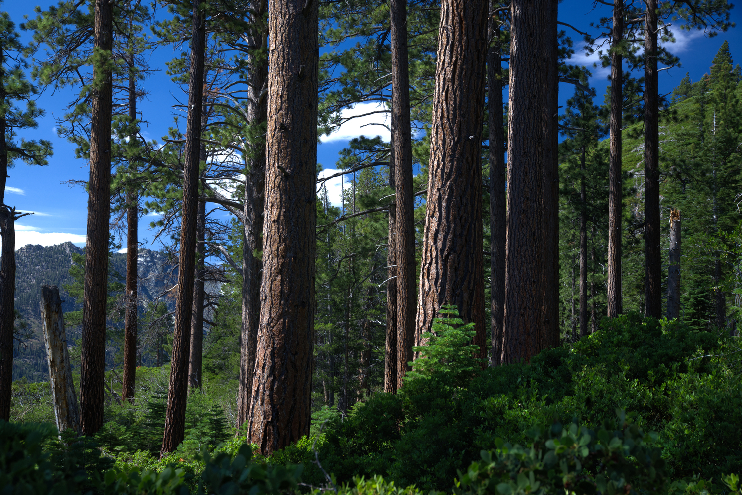 Lake Tahoe, California