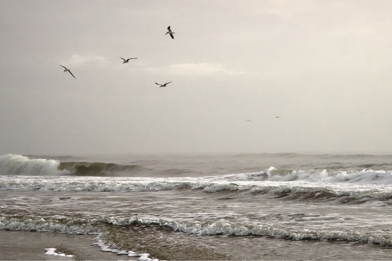 Amelia Island, Florida