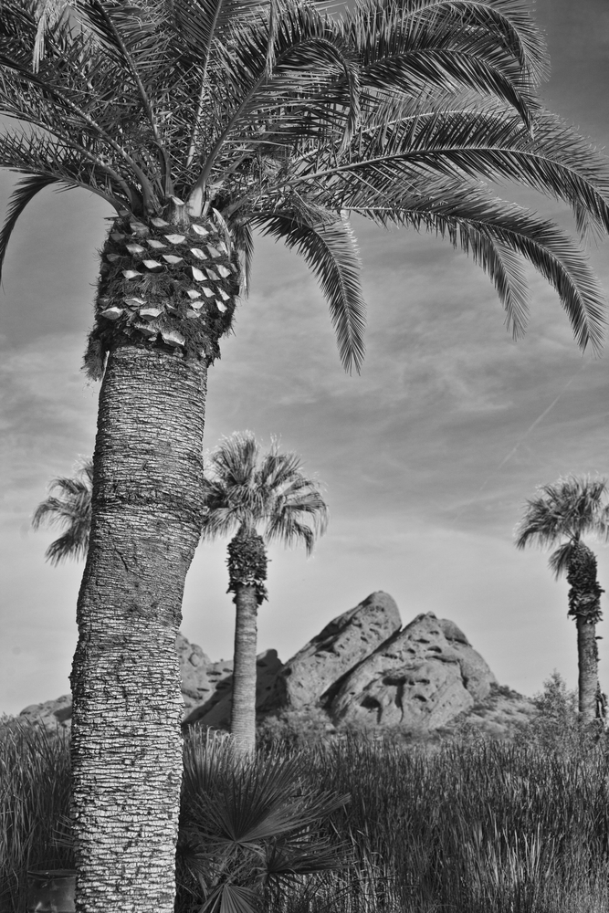 Papago Park, Tempe, Arizona