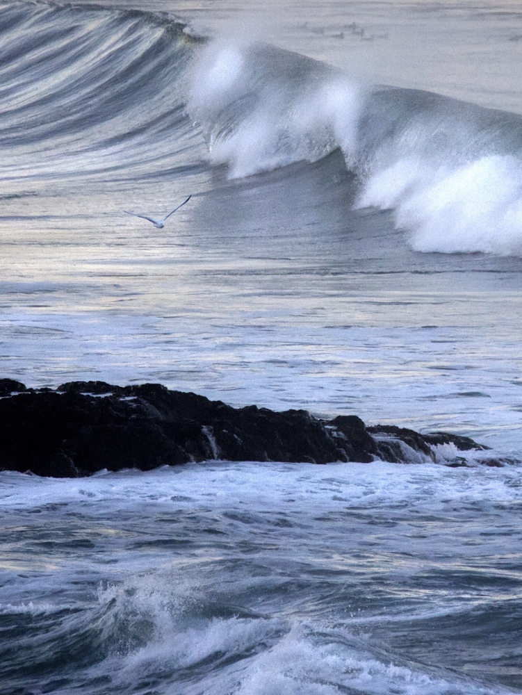 Taft Beach, Oregon