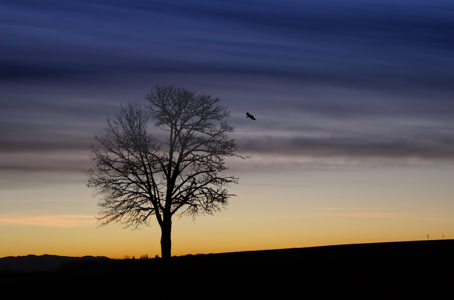 Polk County, Oregon