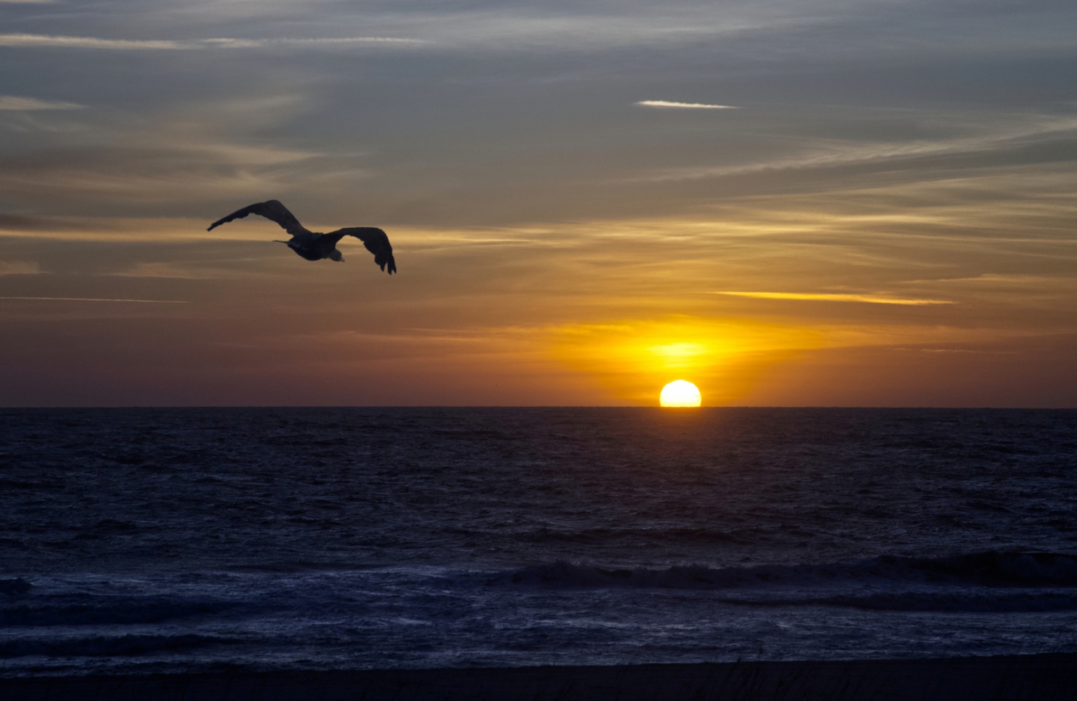 Amelia Island, Florida