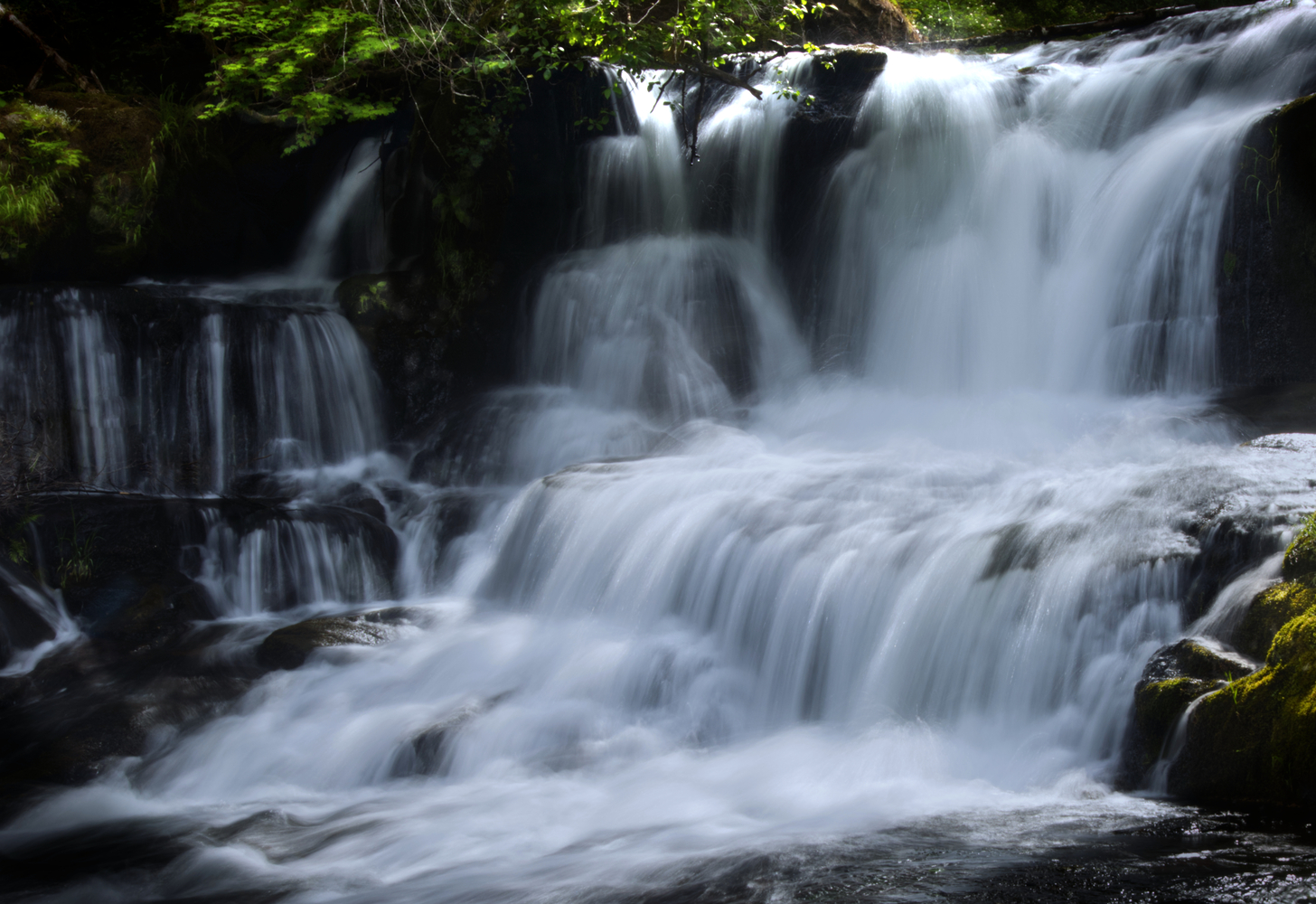 Alsea Falls, Oregon