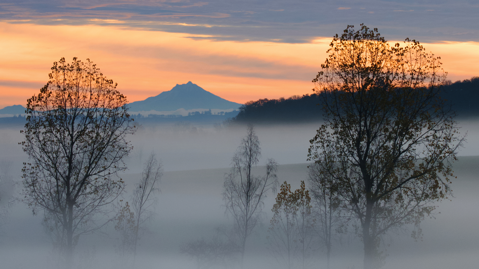 View to Mt Jefferson, Polk County, Oregon