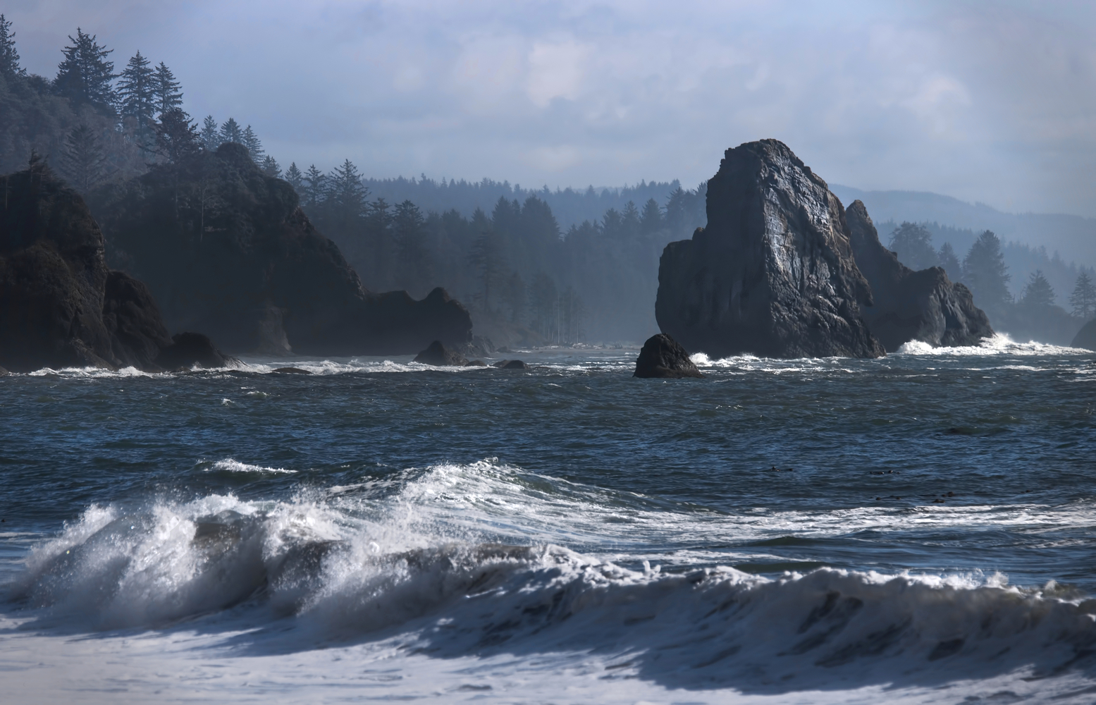 Third Beach - Olympic National Park, Washington