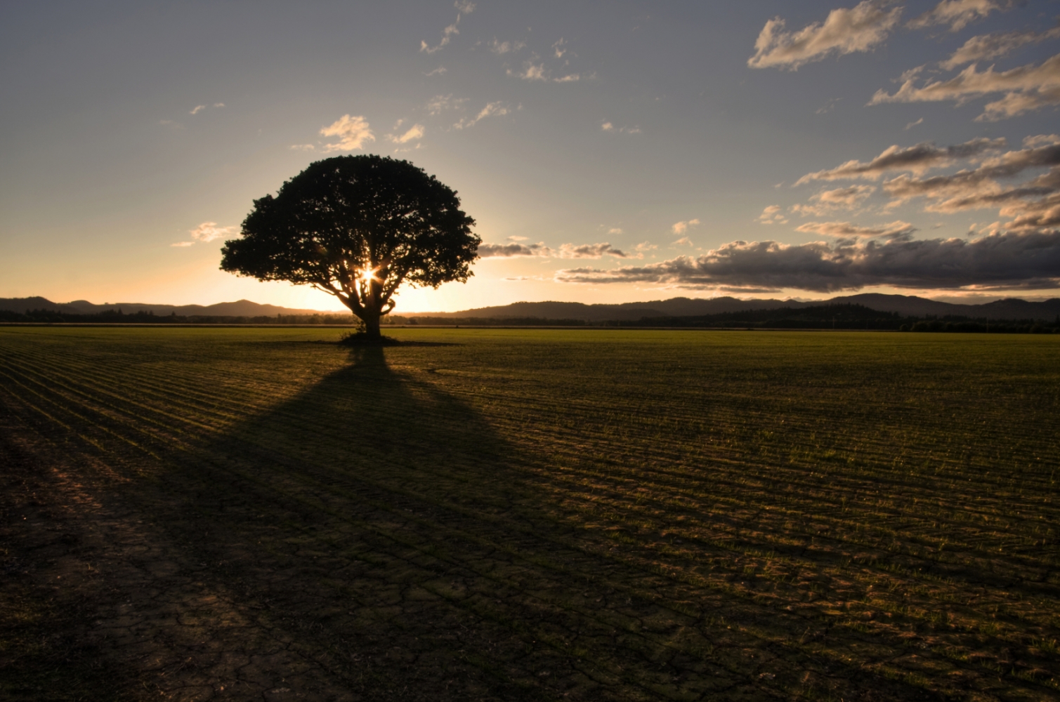 Corvallis, Oregon