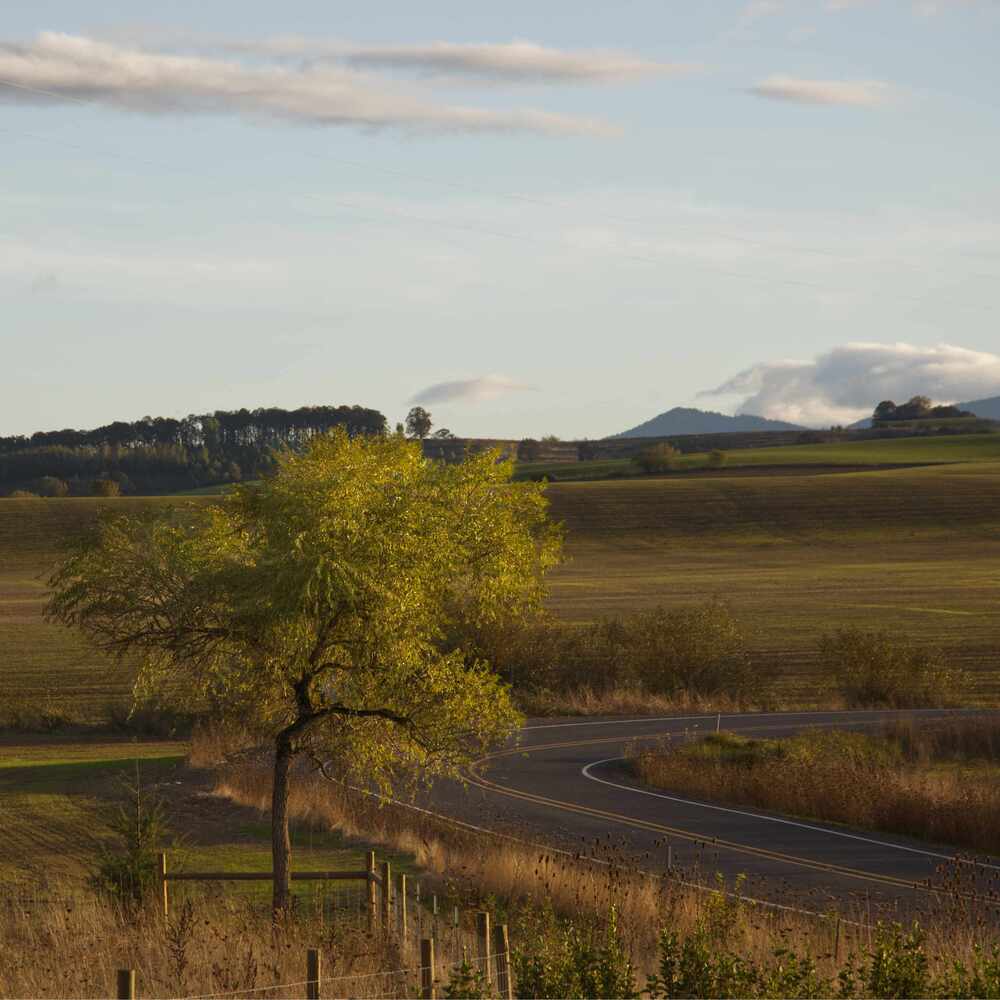 Kings Valley Hwy - Polk County, Oregon