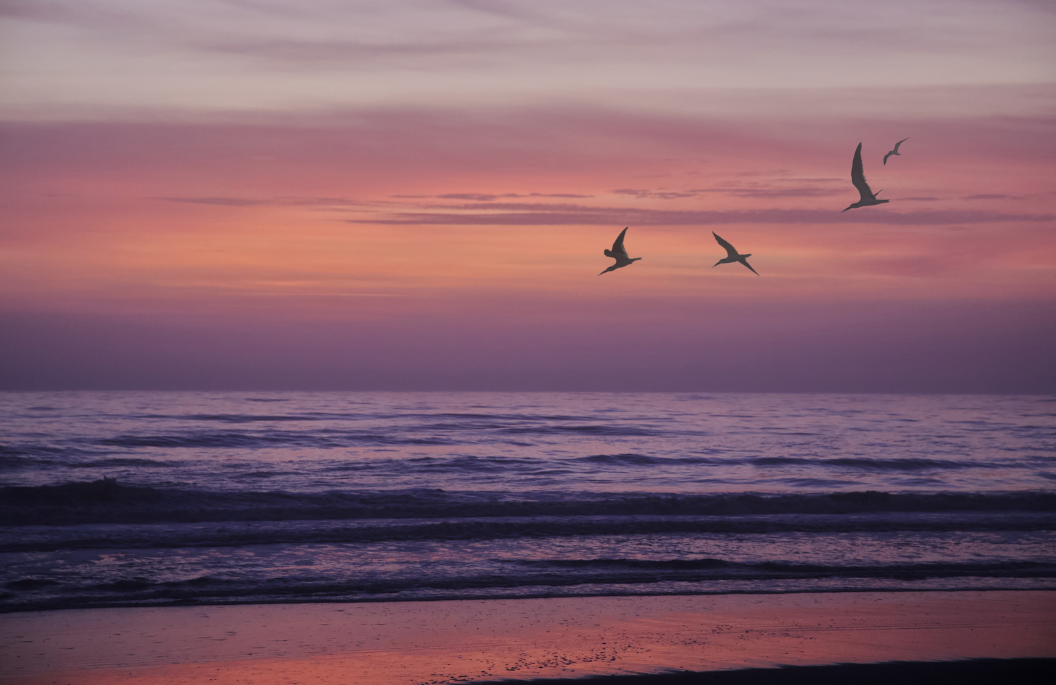 Amelia Island, Florida