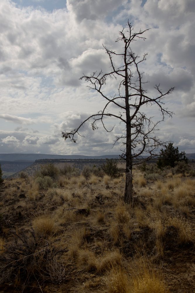 Prineville, Oregon