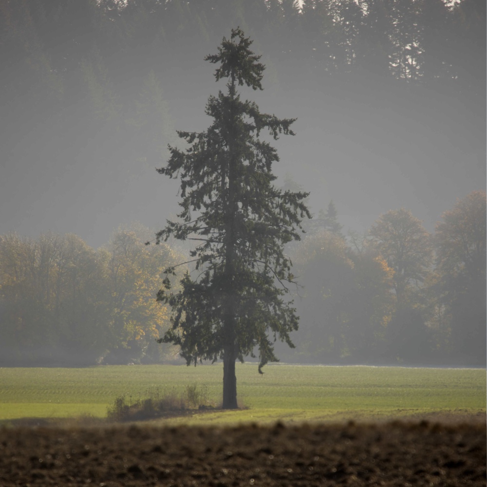 Polk County, Oregon