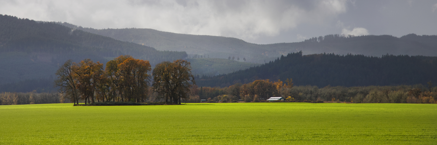 Rural - Valley Floor