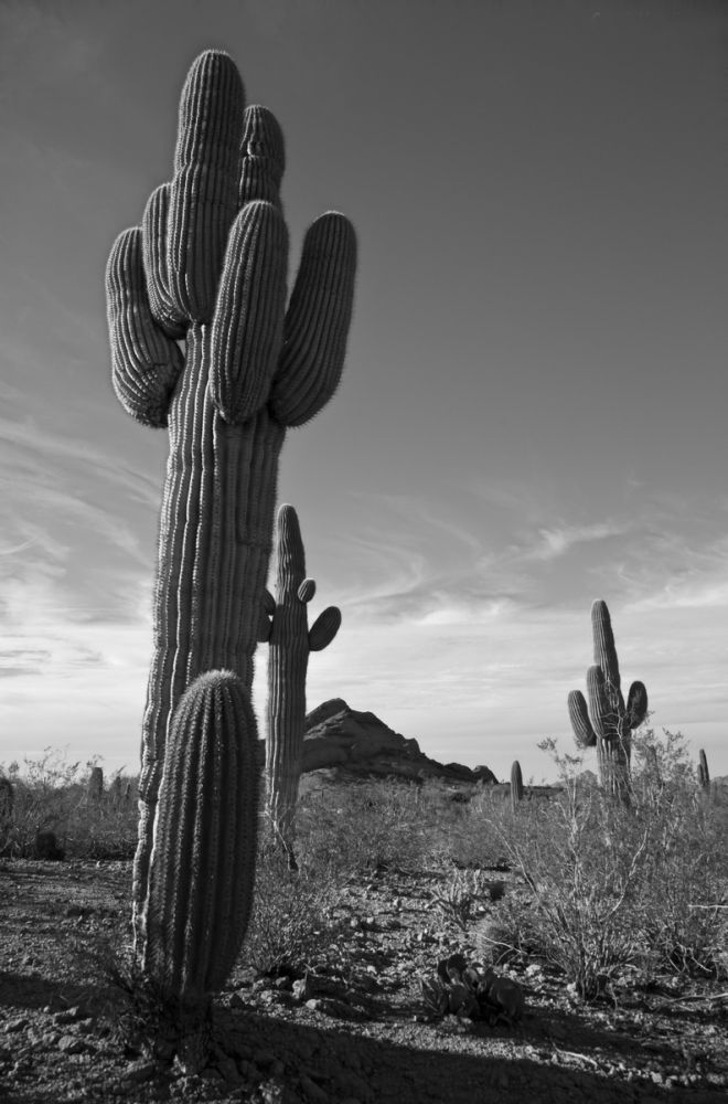 Papago Park - Tempe, Arizona