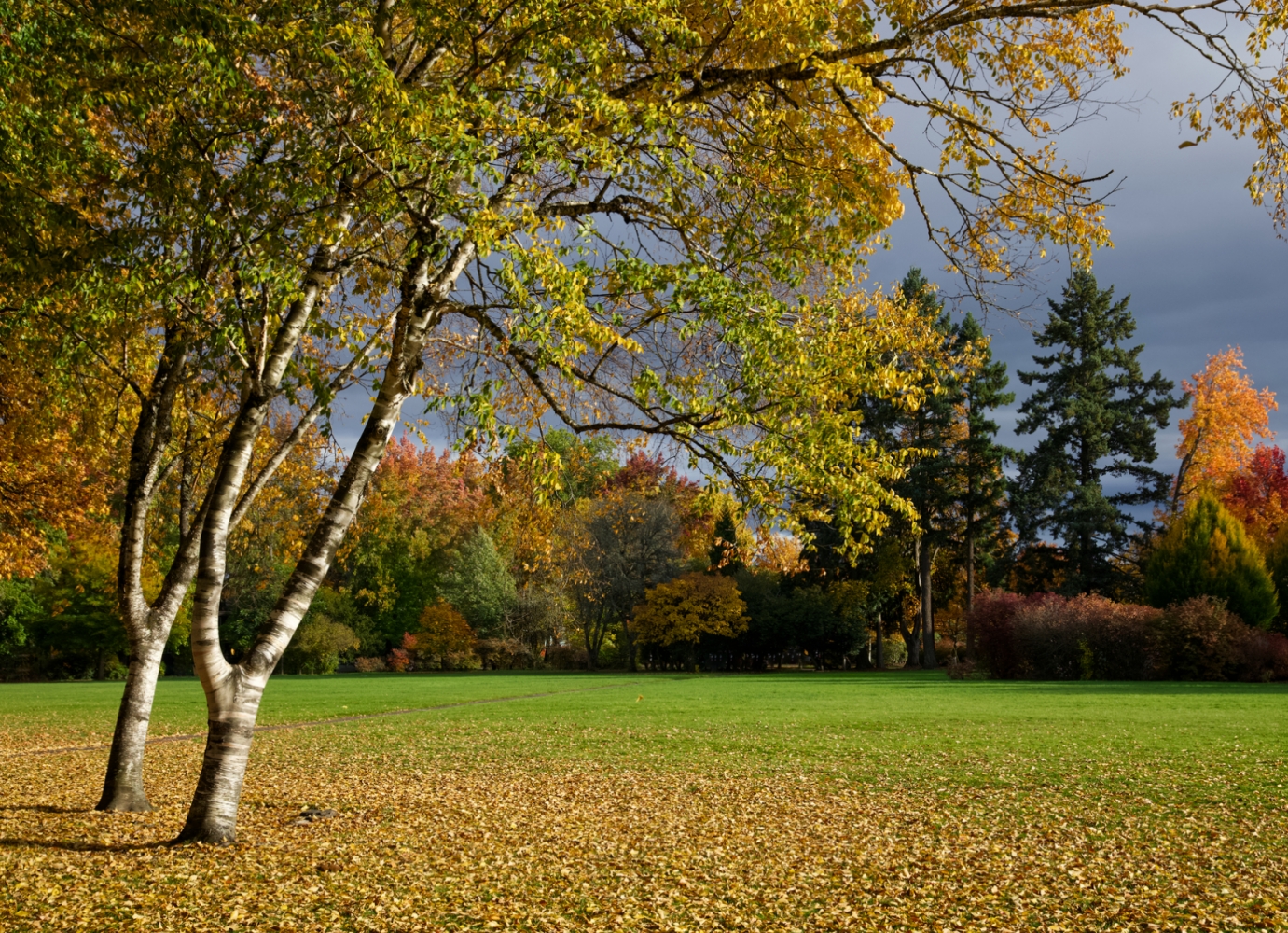 McNary Park - Corvallis, Oregon