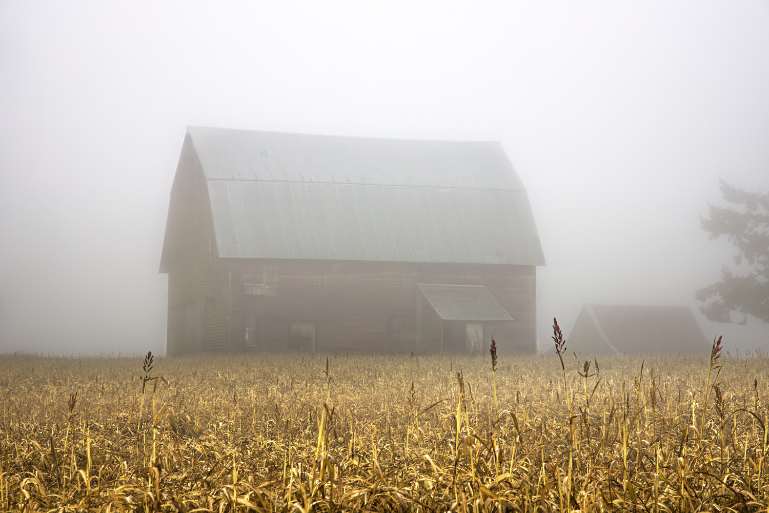 Polk County, Oregon