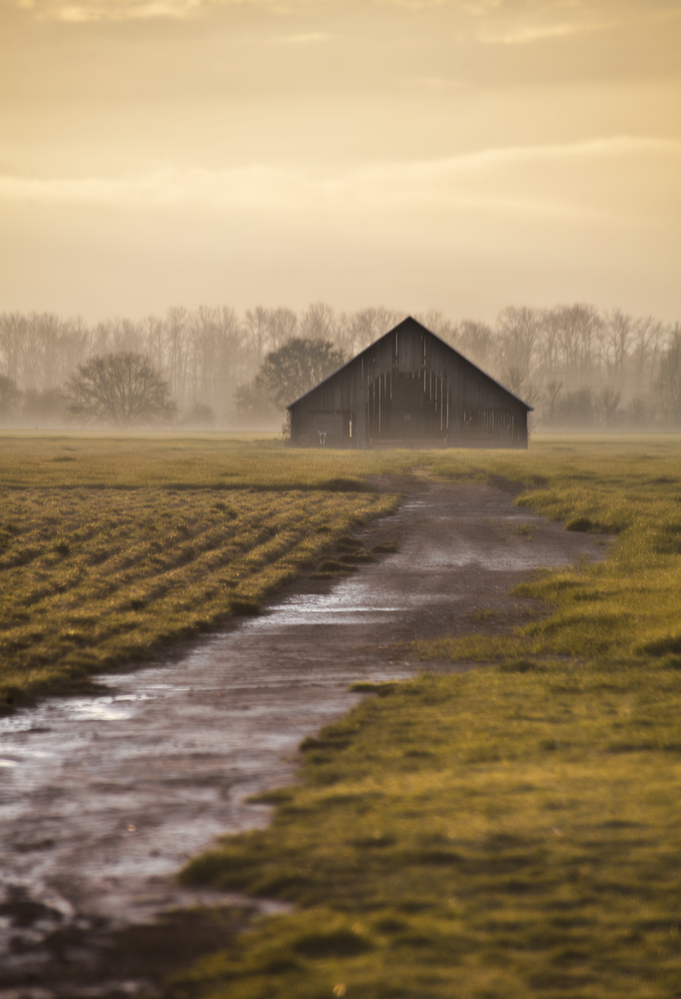 Peoria, Oregon