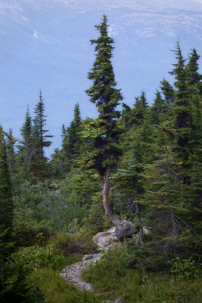 Skagway, Alaska