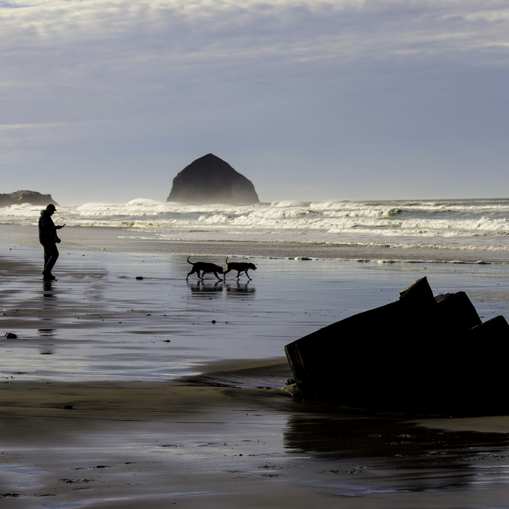 Tierra Del Mar - The Oregon Coast