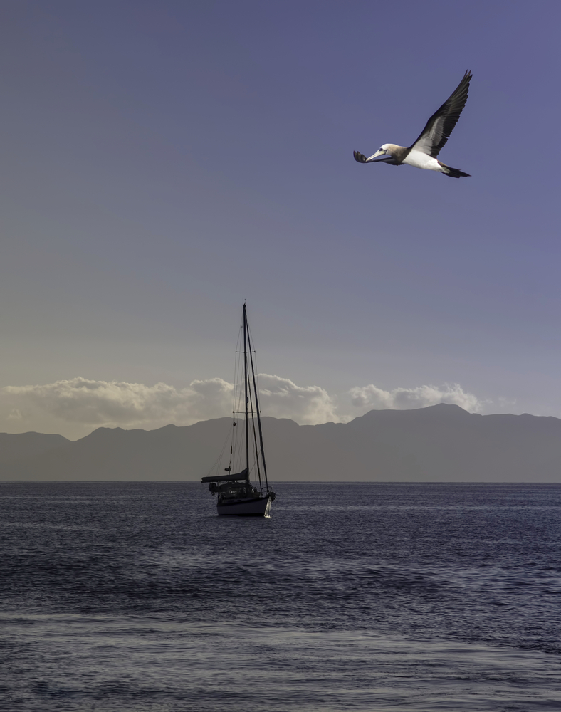 Gulf of Cortez - Baja, Mexico